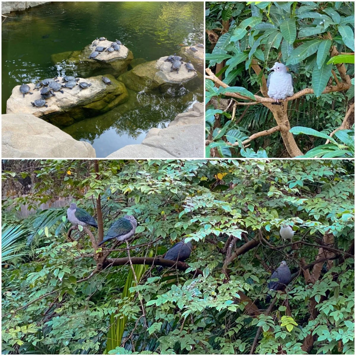 香港公园