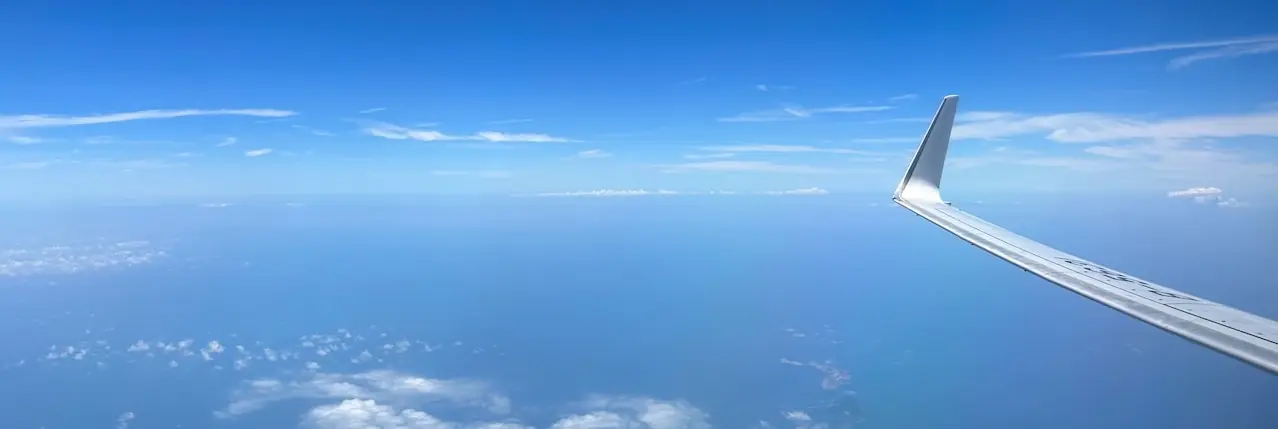 厦门航空机翼